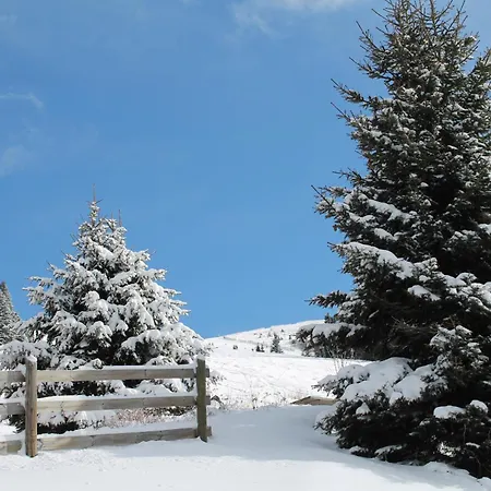 Koralpe Gamssprung 木屋 *