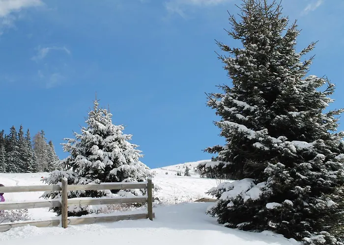 Koralpe Gamssprung Domek alpejski *